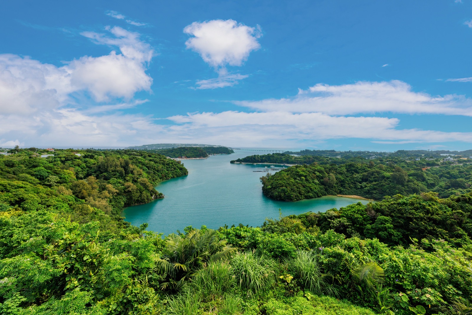 やんばるの自然と海
