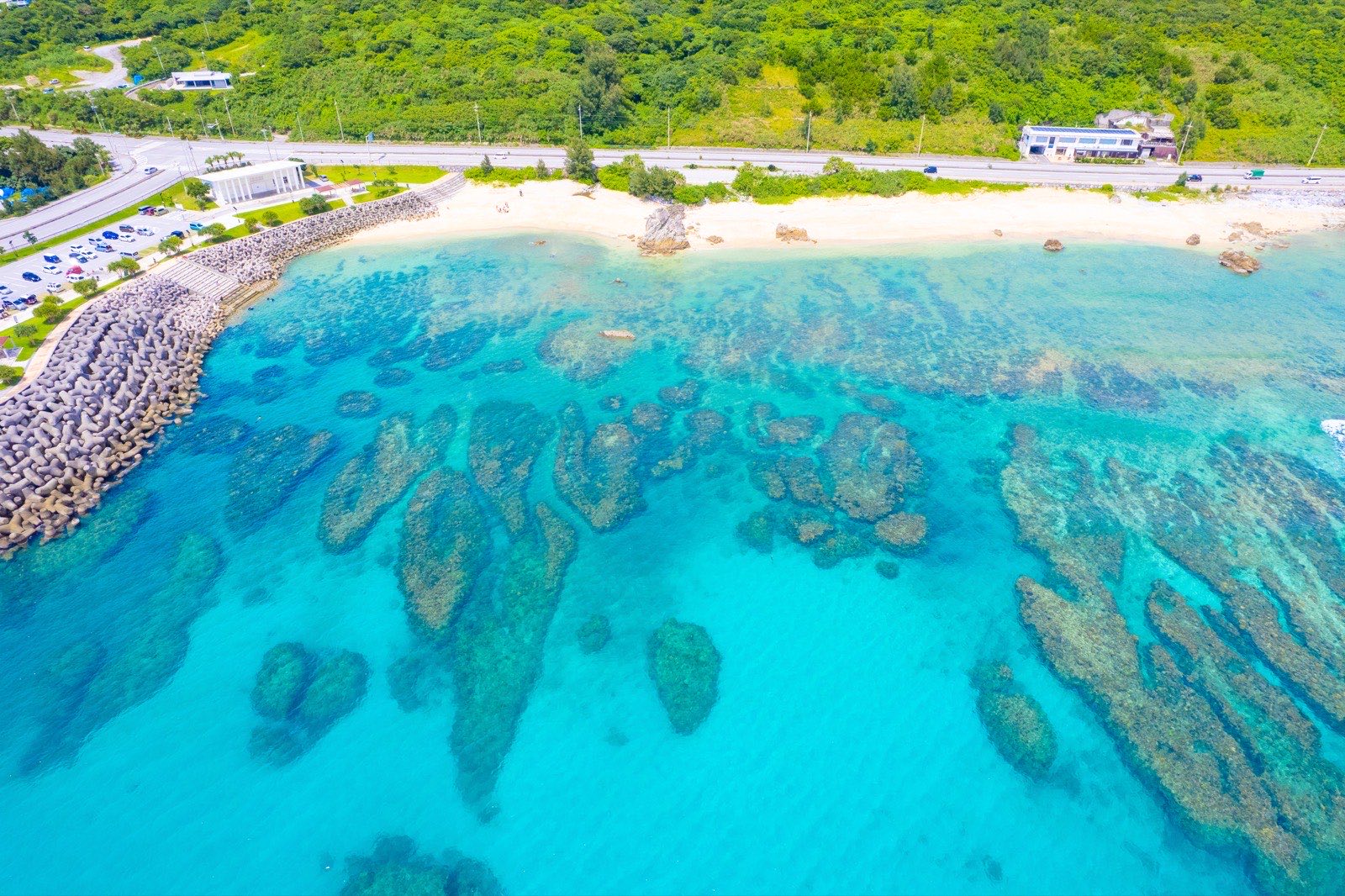 ゴリラチョップ