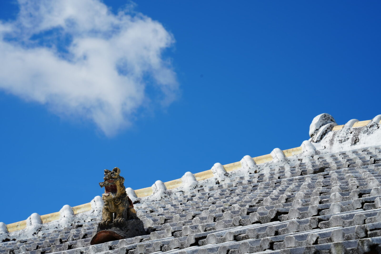 pono 118 — 庭付き琉球古民家（名護・沖縄）